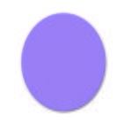 Oval Jar Opener - Purple 268u