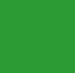 Oval Soft Keytag - Green