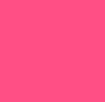 Oval Soft Keytag - Neon Pink