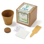 Buy Parsley Seed Growable Planter Kit