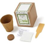 Parsley Seed Growable Planter Kit