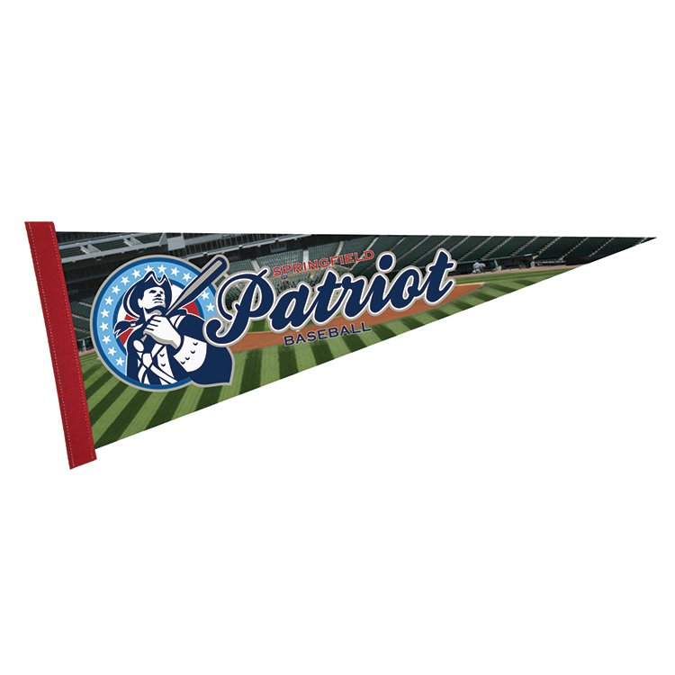 Main Product Image for Full Color Felt Pennant - 9" x 24"