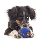 Pet Synthetic Promotional Tennis Ball -  