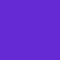 Plastic Wristband - Purple