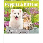 Puppies & Kittens Mini 2022 Appointment Calendar - Multi Color