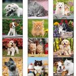 Puppies & Kittens Mini 2022 Appointment Calendar -  