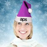 Buy Purple Felt Santa Hats