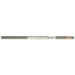 Buy Imprinted Recycled Currency Pencil