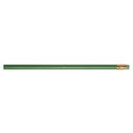 Recycled Newspaper Colored Pencil - Green