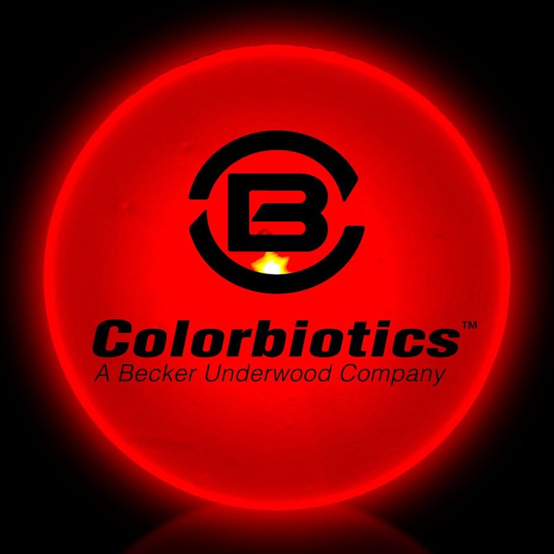 Main Product Image for Custom Blinky Red Flashing LED Light Up Glow Circle