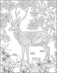 Relax Pack-Nature Coloring Book for Adults + Colored Pencils -  