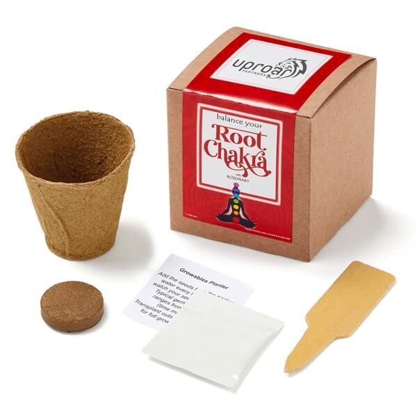 Main Product Image for Root Chakra Growable in Kraft Gift Box