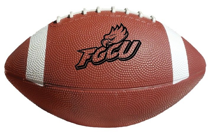 Main Product Image for Custom Printed Rubber Football - 12.5"