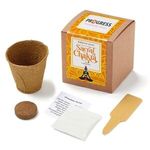Buy Sacral Chakra Growable in Kraft Gift Box
