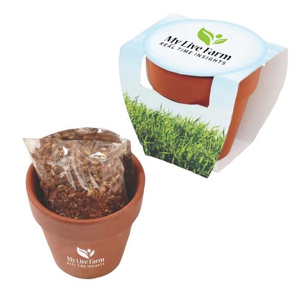 Main Product Image for Seed Sensations Terracotta Pot