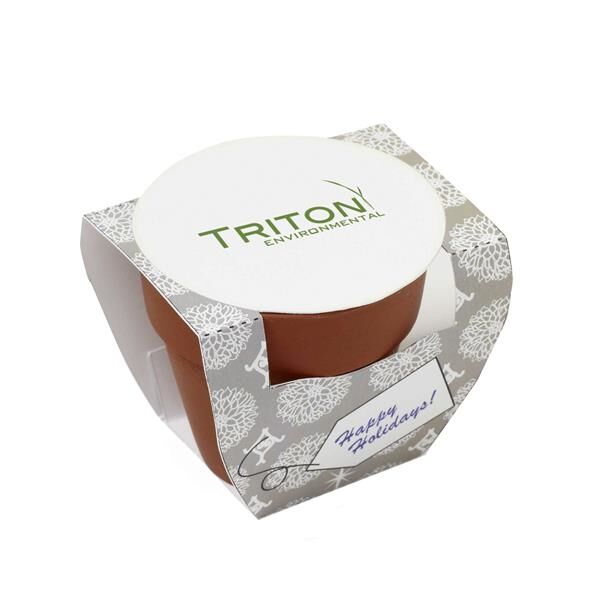 Main Product Image for Seed Sensations Terracotta Pot With Holiday Wrapper