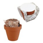 Seed Sensations Terracotta Pot With Holiday Wrapper