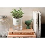 Self Watering Planter -  