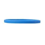 Silicone Wristband - Blue