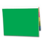 SimpliColor Versa-Pak - 2 Sticky Note Pads and 5 Flag Colors - Green
