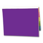 SimpliColor Versa-Pak - 2 Sticky Note Pads and 5 Flag Colors - Purple