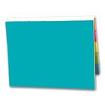 SimpliColor Versa-Pak - 2 Sticky Note Pads and 5 Flag Colors - Teal