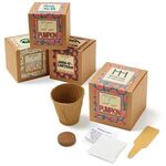 Buy Small Sugar Pumpkin Seed Growable Planter in Kraft Gift Box