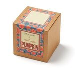 Small Sugar Pumpkin Seed Growable Planter in Kraft Gift Box -