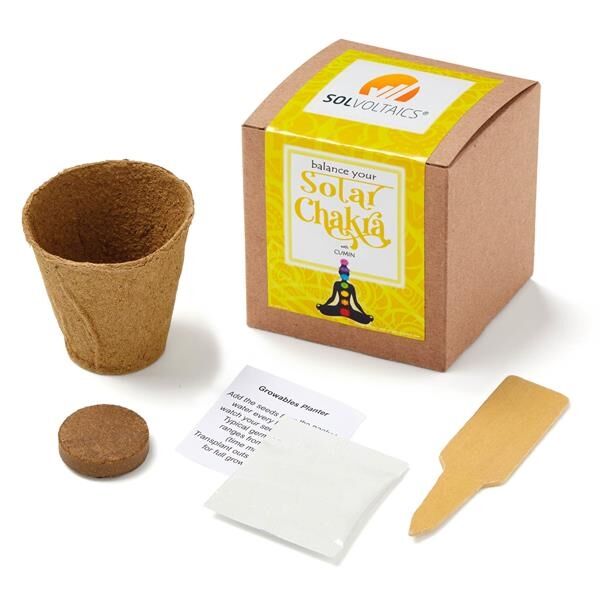 Main Product Image for Solar Chakra Seed Growable in Kraft Gift Box