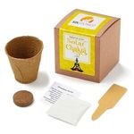 Solar Chakra Seed Growable in Kraft Gift Box - Brown