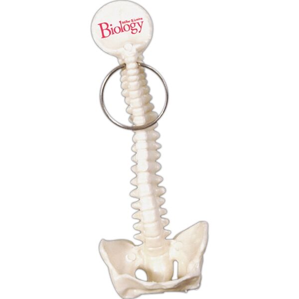 Main Product Image for Promotional Spine And Pelvis Bone Keyring