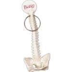 Buy Promotional Spine And Pelvis Bone Keyring