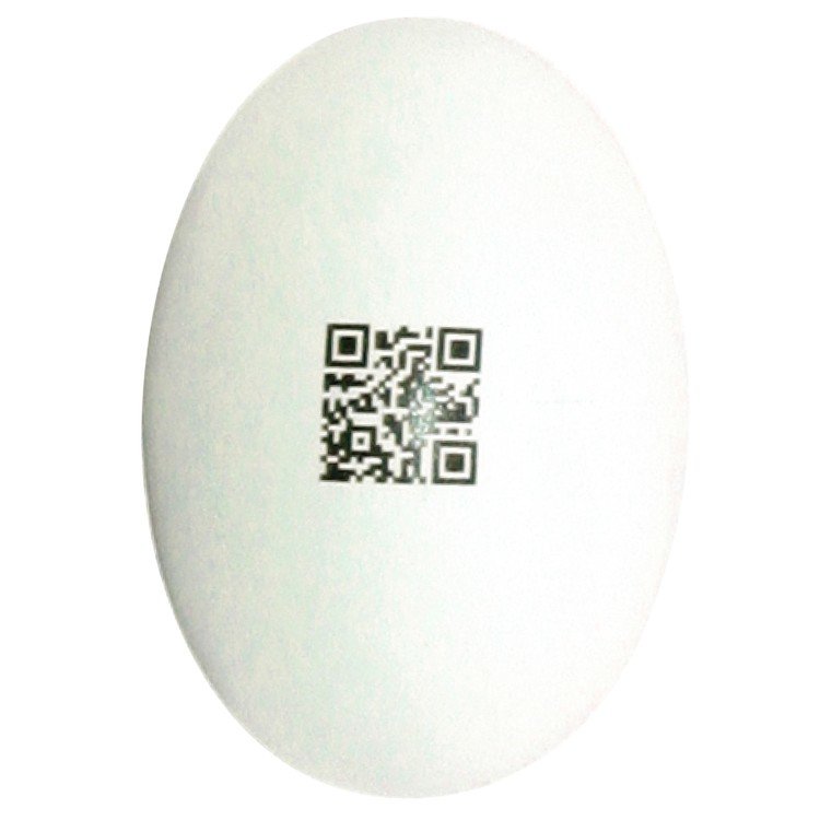 Main Product Image for Squeezie(R) Egg Stress Reliever