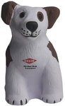 Buy Squeezies Dog Stress Reliever