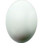 Squeezies® Egg Stress Reliever - White