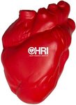 Squeezies Heart (Anatomical) Stress Reliever -  
