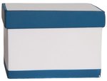 Squeezies(R) File Box Stress Reliever - White-blue