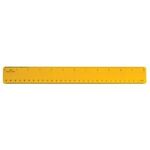 Standard 12 inch Ruler -  