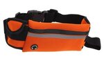 Stash Pocket Sport Belt - Orange