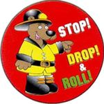 Buy Stop, Drop And Roll Sticker Rolls