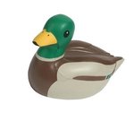 Stress Mallard Duck - Brown