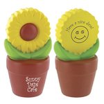Stress Sunflower In Pot -  