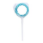 Swirl Lollipop with Round Label - Raspberry
