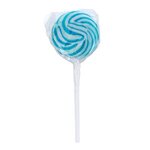 Swirl Lollipop with Round Label -  