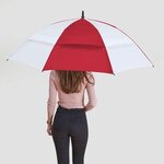 The Challenger Umbrella - Alternating Panels -  