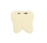 Tooth Jar Opener - Cream 7500u