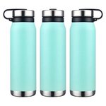 Turin 20 oz Vacuum Insulated Bottle with Twist Cap