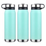 Turin 20 oz Vacuum Insulated Bottle with Twist Cap