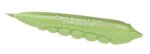 Buy Promotional Vegetable Pens: Peas in a Pod