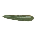 Vegetable Pens: Pickle - Green
